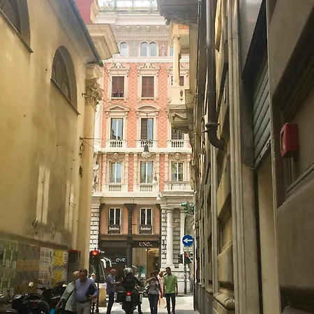 Basilico Janov